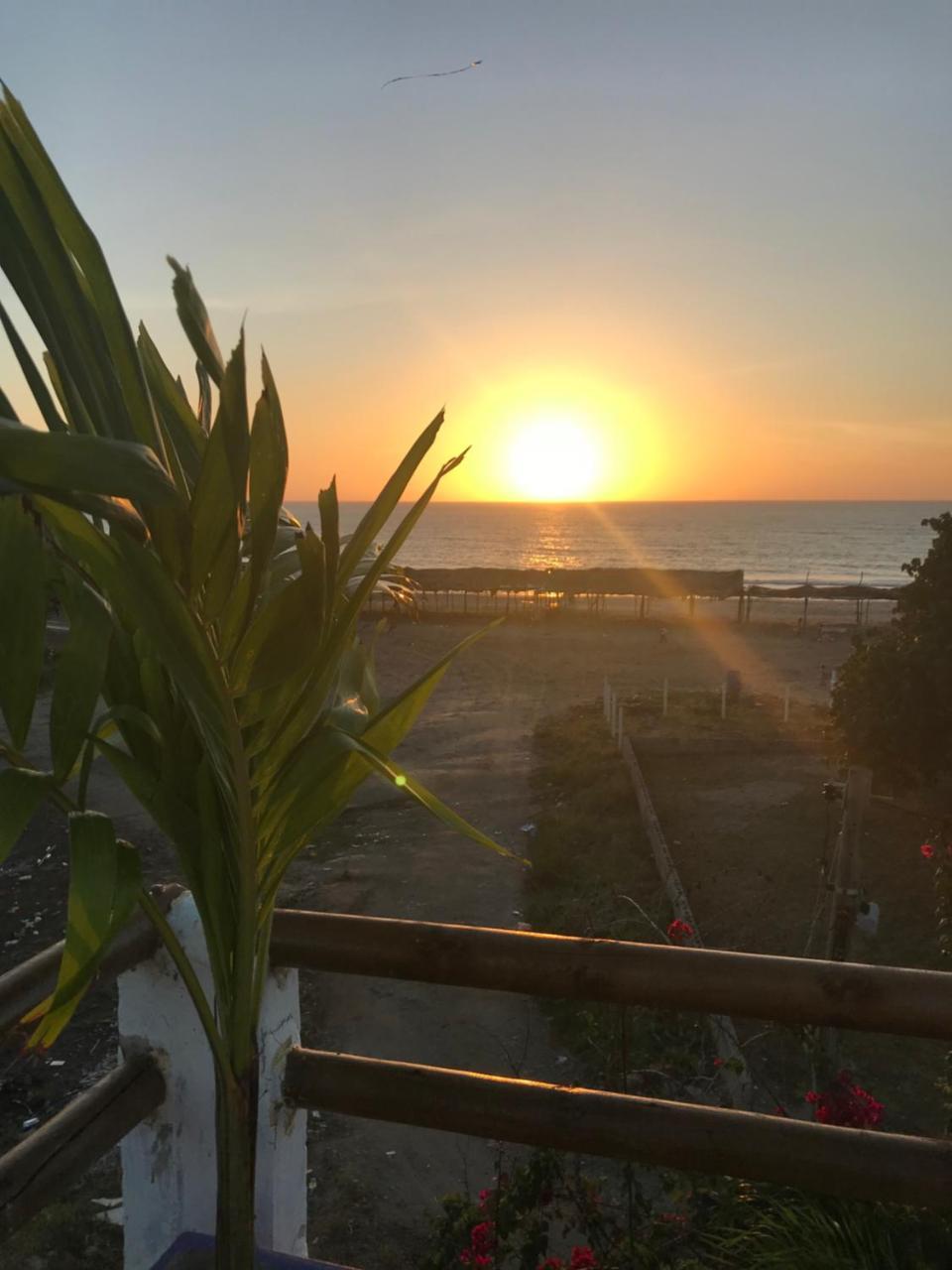 Hotel Palmera Beach Cartagena מראה חיצוני תמונה